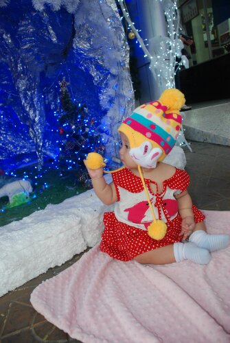 DSC_1855.JPG image
