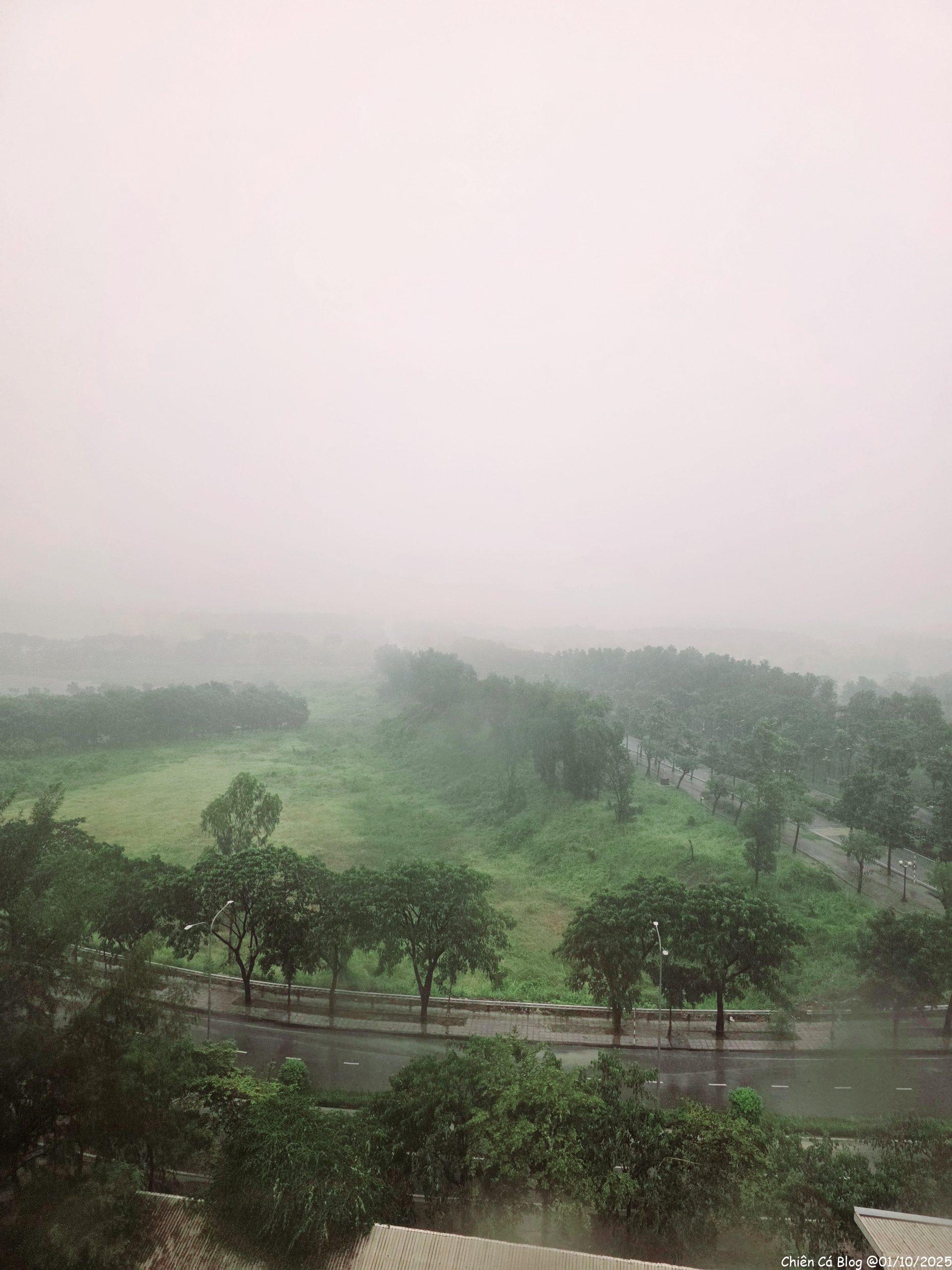 Mưa